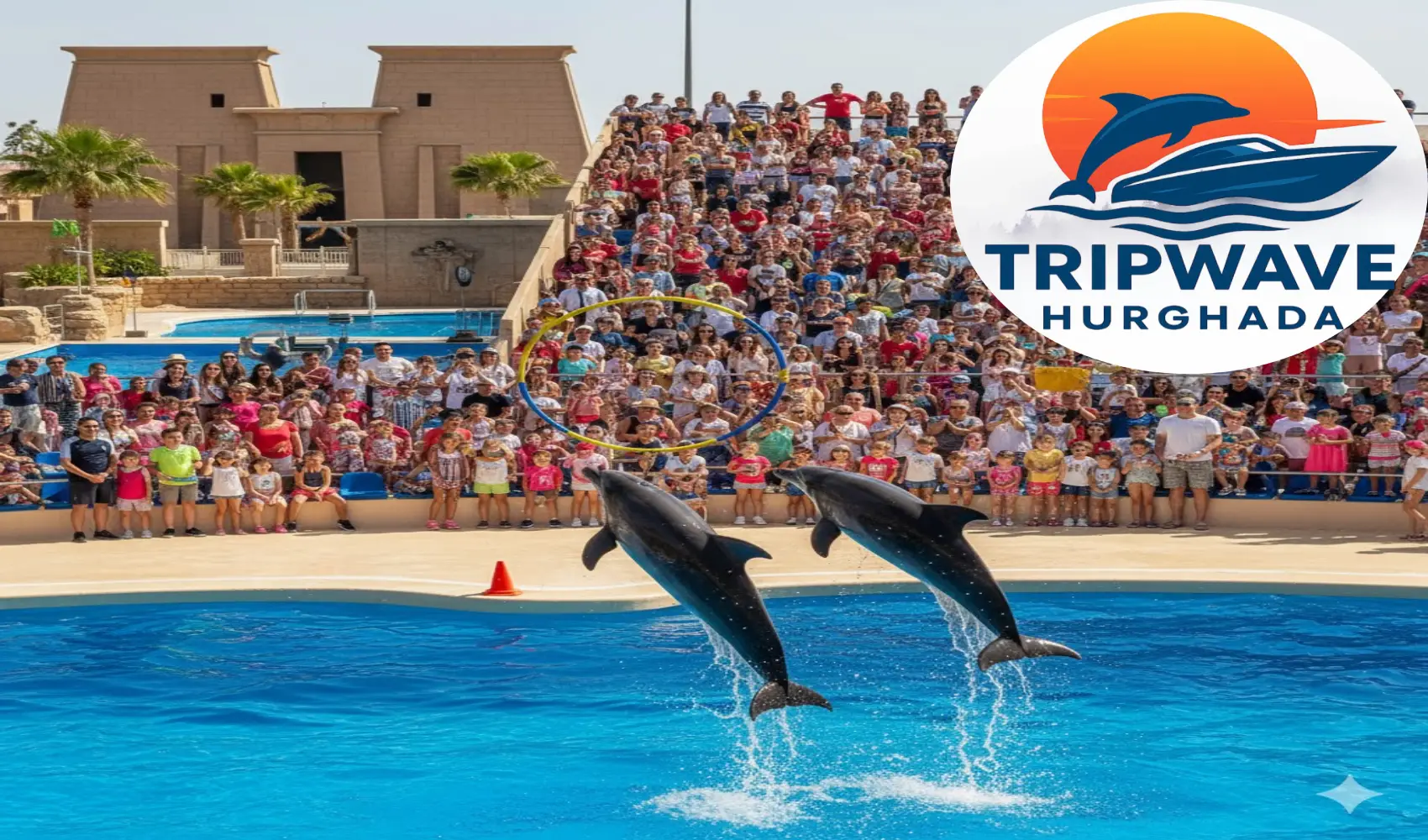 Laugh, clap, and be amazed at the Hurghada Dolphin Show – a favorite for families and kids of all ages.