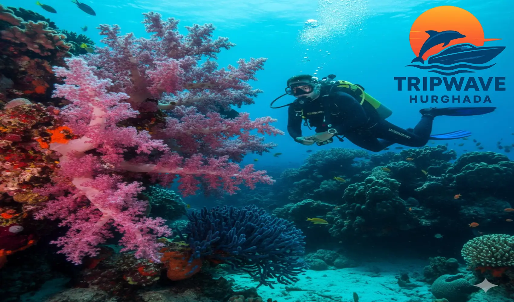 Scuba diving trip with two deep dives as part of the best Hurghada excursions on the Red Sea.